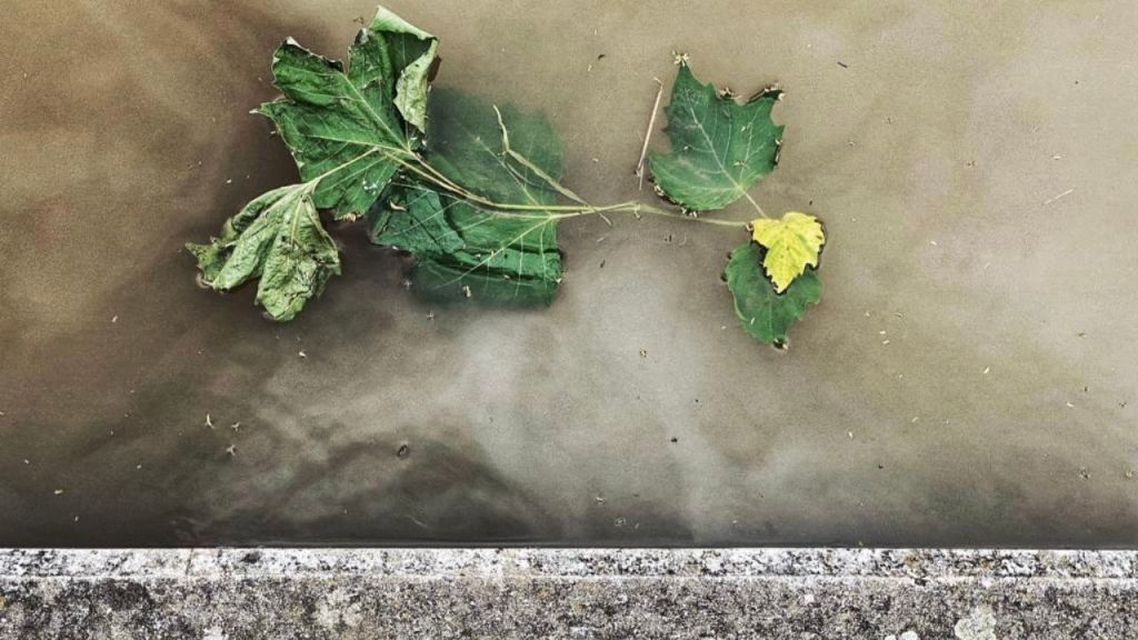 Van vrees naar&nbsp;hoop